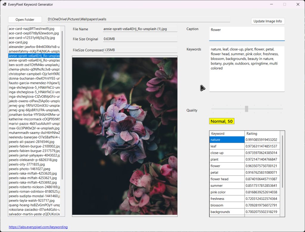 Everypixel Keyword Generator — AI-Powered Image Keyword Automation